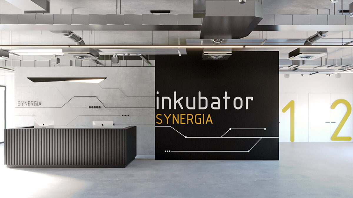 Symulacja Wnętrza Synergia Inkubator